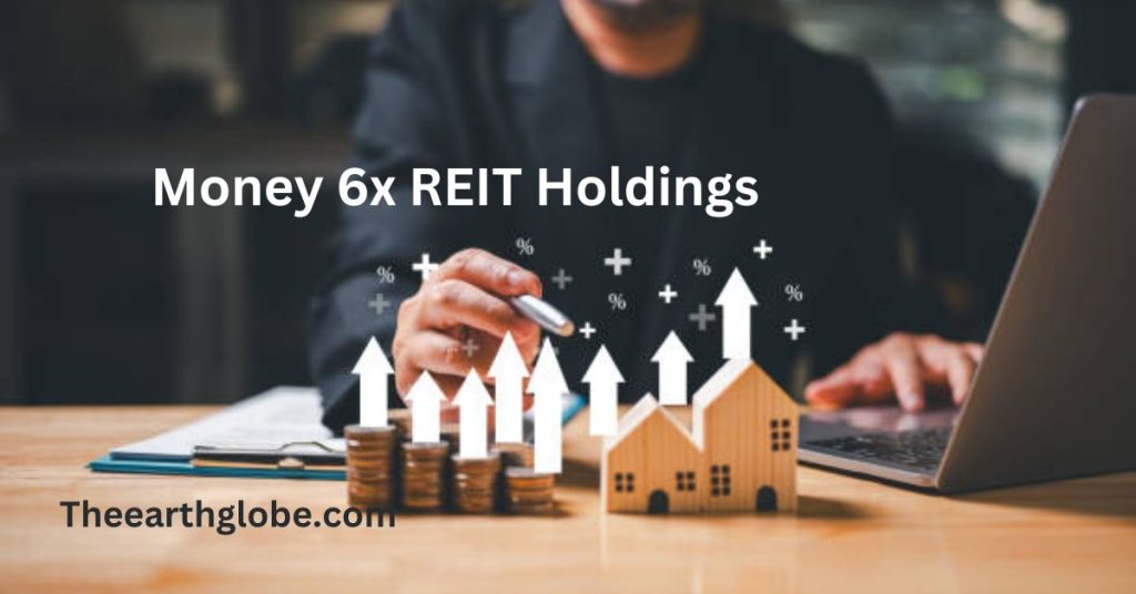 Money 6x REIT Holdings