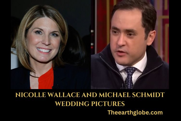 nicolle wallace and michael schmidt wedding pictures