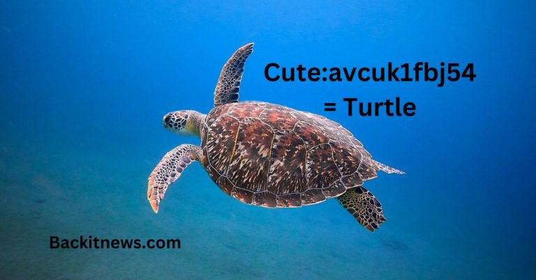 cute:avcuk1fbj54= turtle